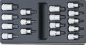 Zestaw nasadek wkrętakowych 1/2" TORX i XZN w wytłoczkach z tworzywa do wózków warsztatowych 96838115 Stahlwille Zestaw nasadek wkrętakowych 1/2" TORX i XZN w wytłoczkach z tworzywa do wózków warsztatowych 96838115 Stahlwille